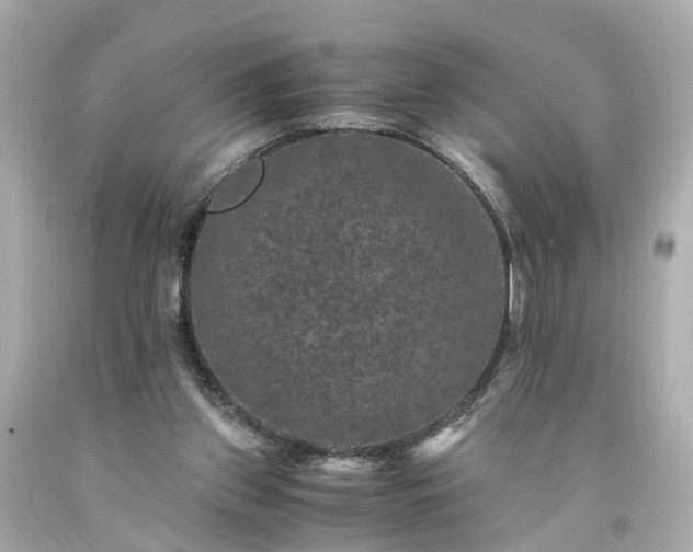 X0000094180157200711021013