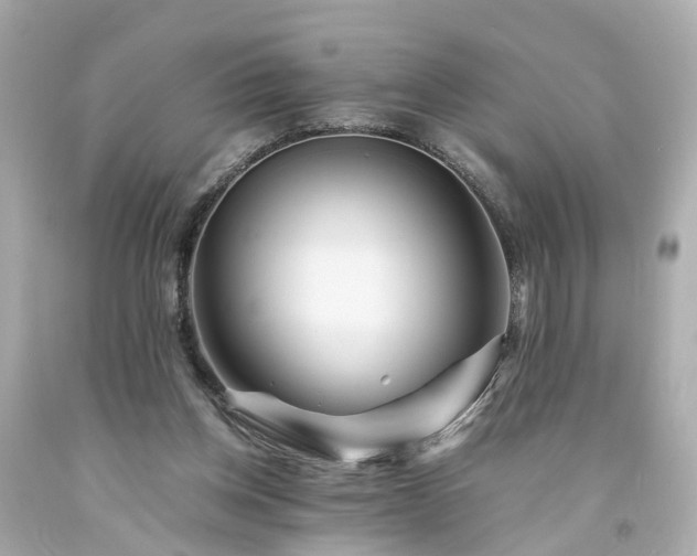 X0000094180158200711021013
