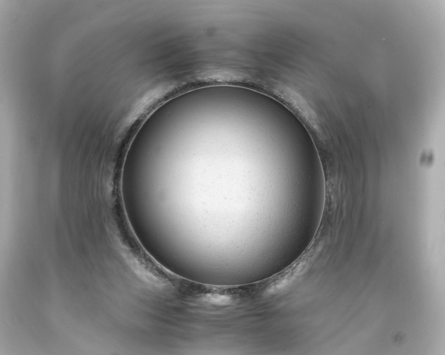 X0000094180159200711021013