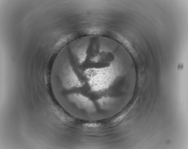 X0000094180161200711021013