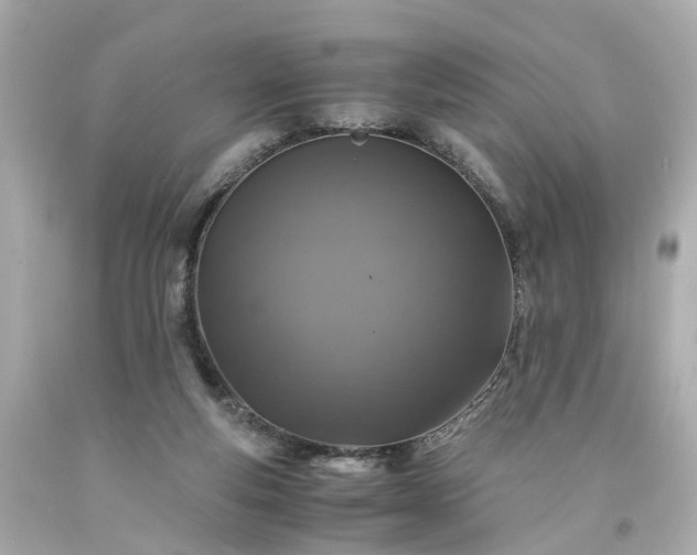X0000094180163200711021013