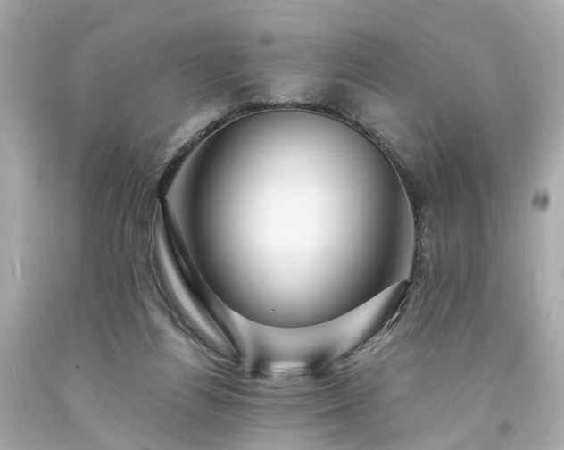 X0000094180164200711021013