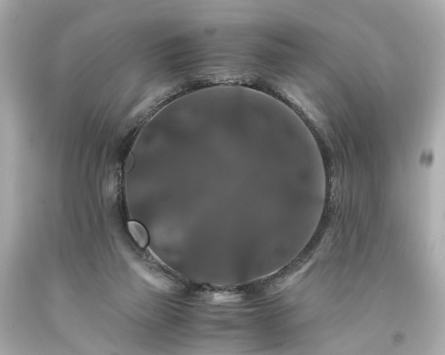 X0000094180165200711021013