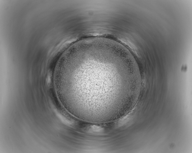 X0000094180166200711021013