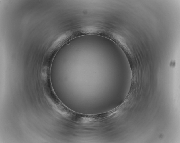 X0000094180167200711021013