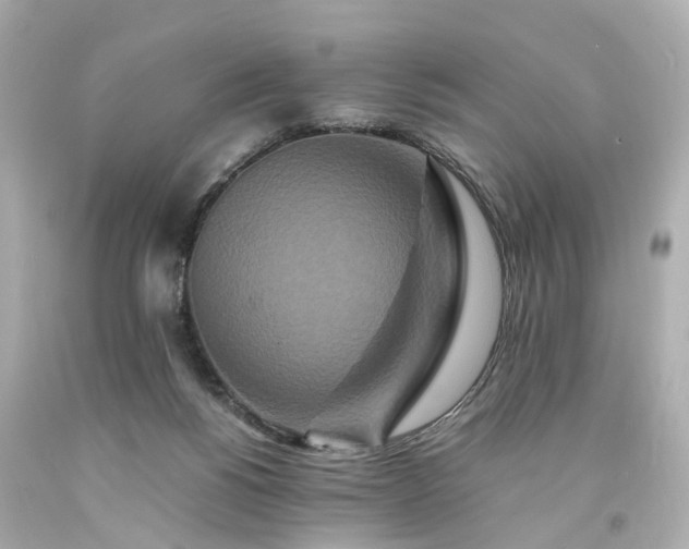 X0000094180168200711021013