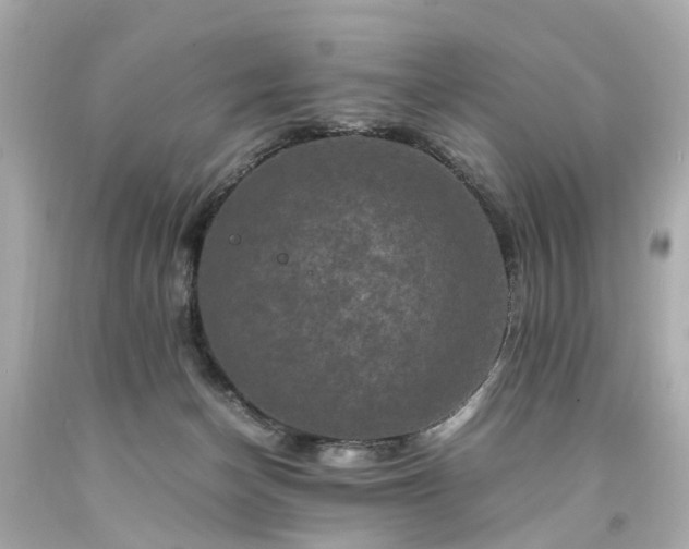 X0000094180174200711021013