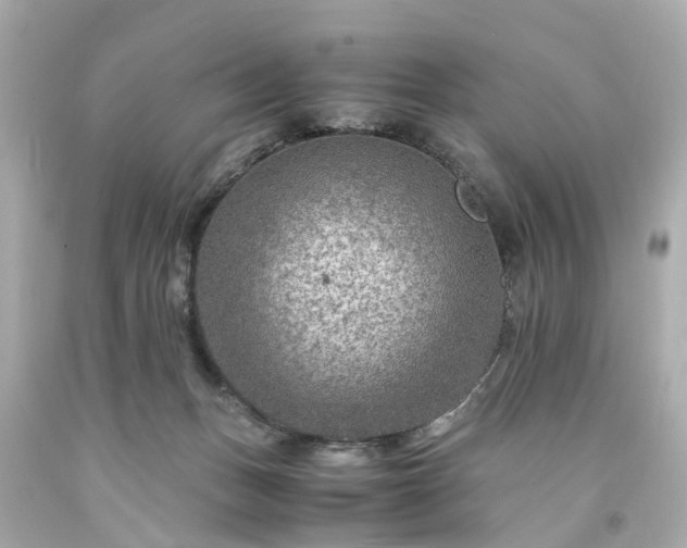 X0000094180175200711021013