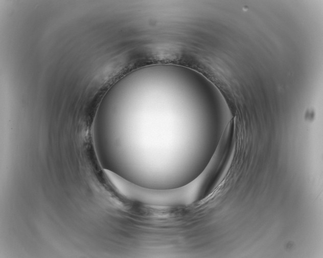 X0000094180176200711021013