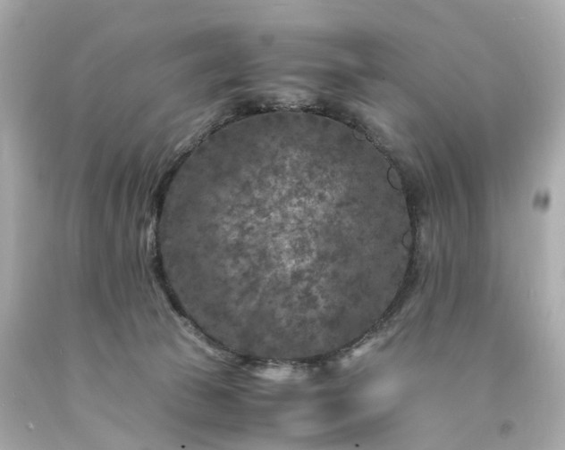 X0000094180177200711021013
