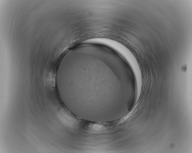 X0000094180180200711021013
