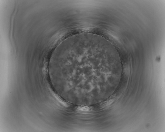 X0000094180181200711021013