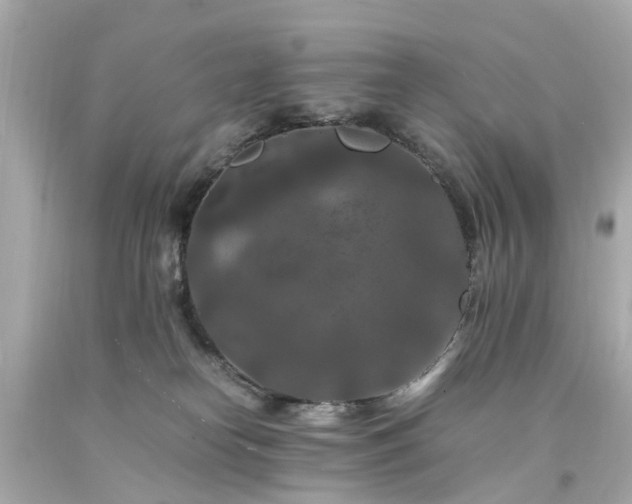 X0000094180182200711021014