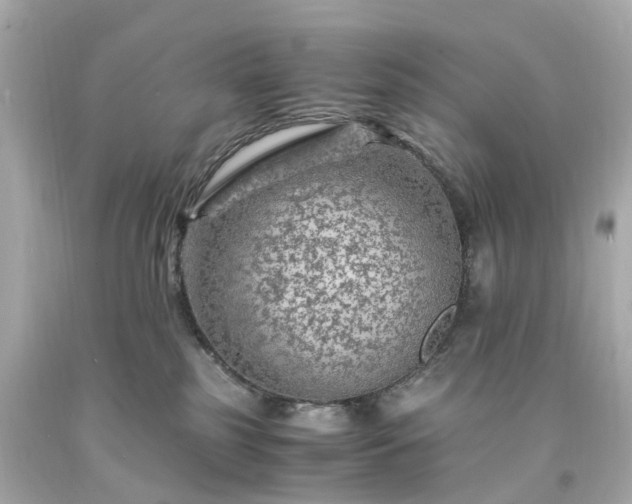 X0000094180185200711021014