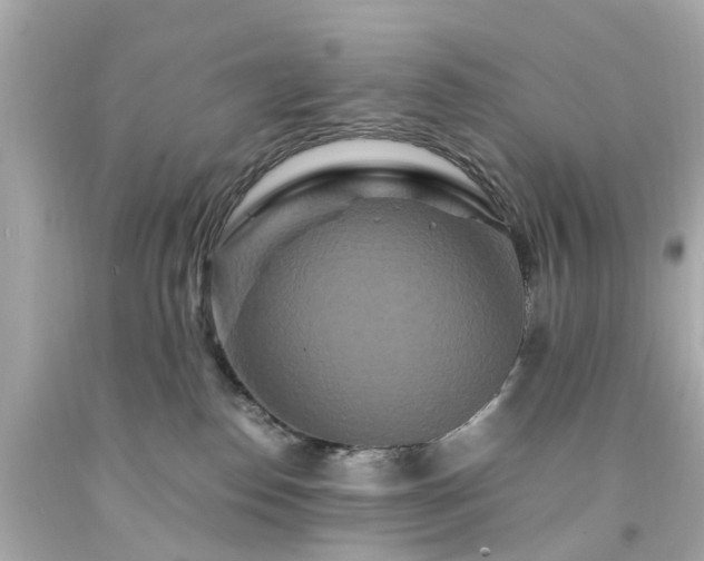 X0000094180186200711021014
