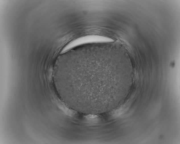 X0000094180189200711021014