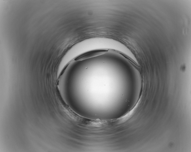 X0000094180190200711021014