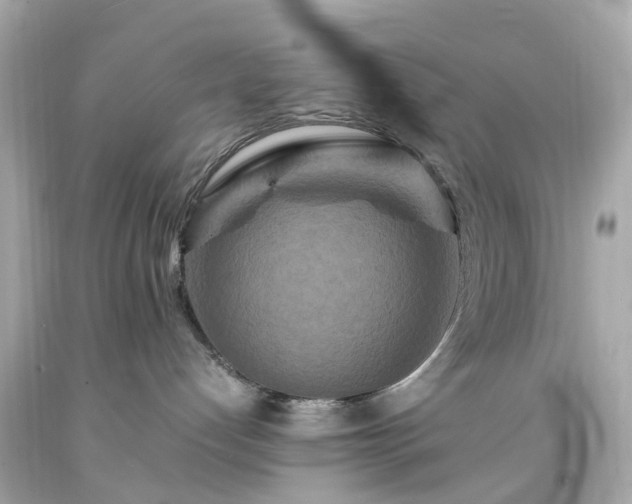 X0000094180192200711021014