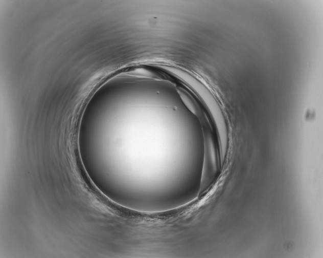 X0000094180193200711021013