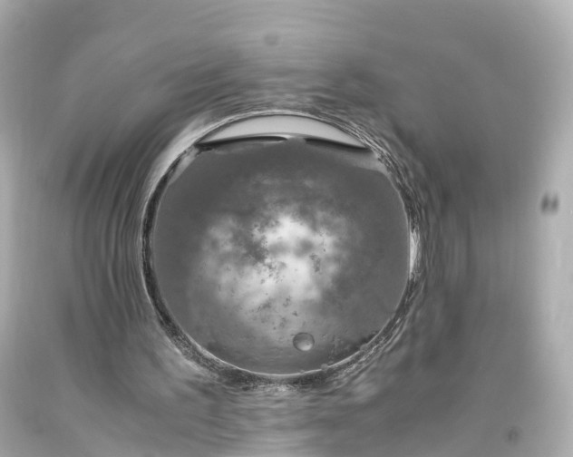 X0000094180195200711021013