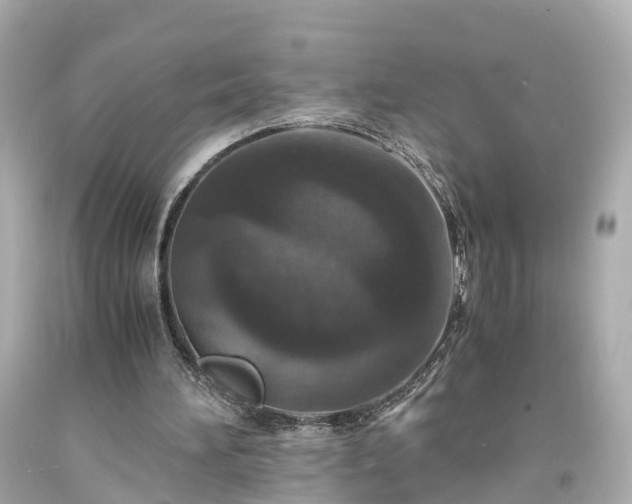 X0000094180196200711021013