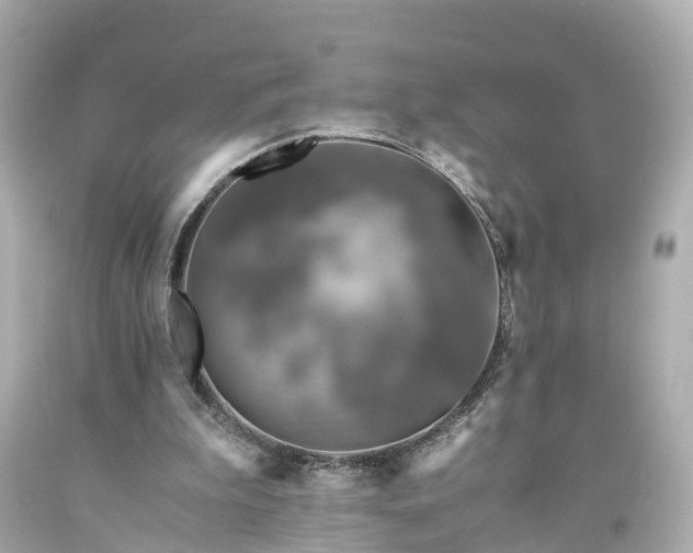 X0000094180199200711021013