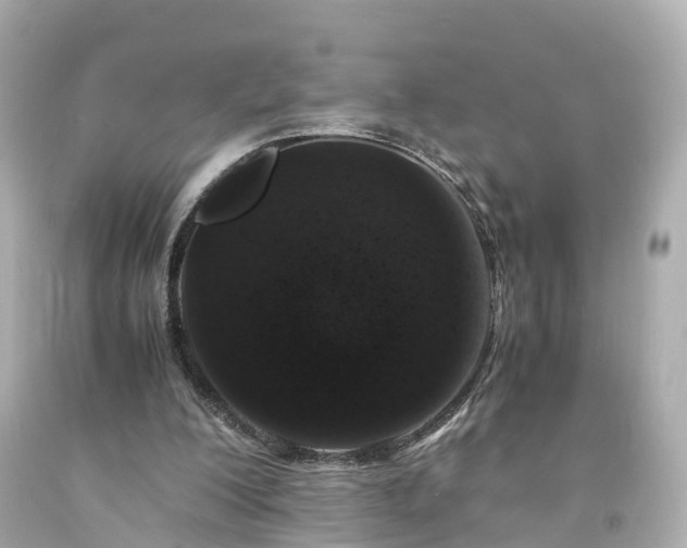 X0000094180200200711021013
