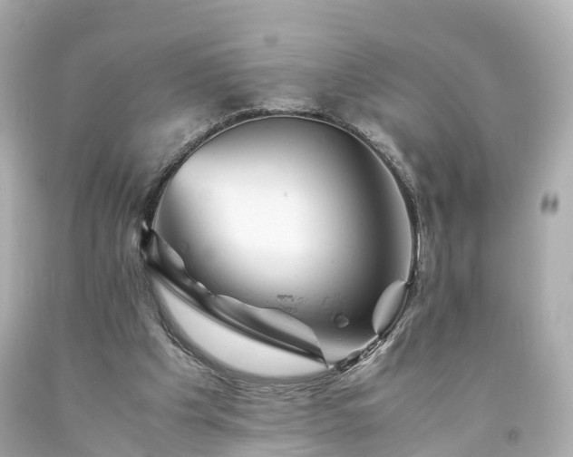 X0000094180201200711021013