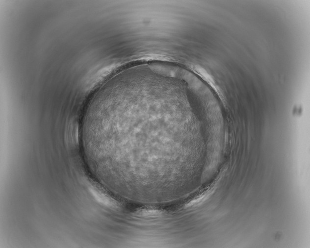 X0000094180205200711021013