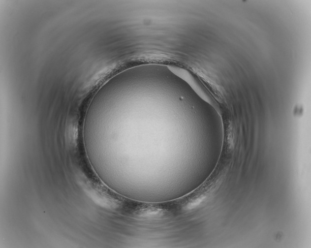 X0000094180206200711021013