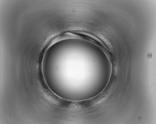X0000094180207200711021013