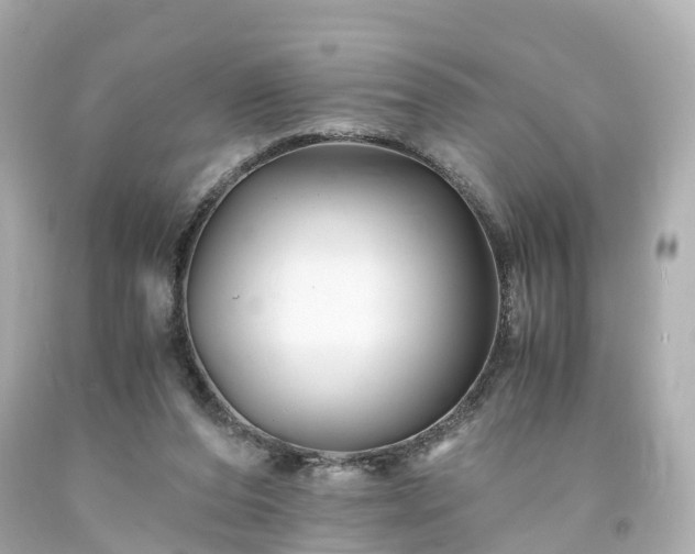 X0000094180208200711021013