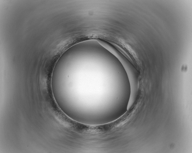 X0000094180209200711021013