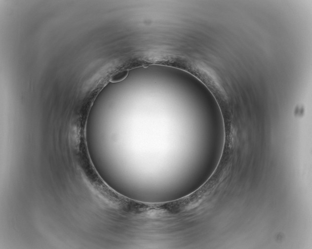 X0000094180210200711021013