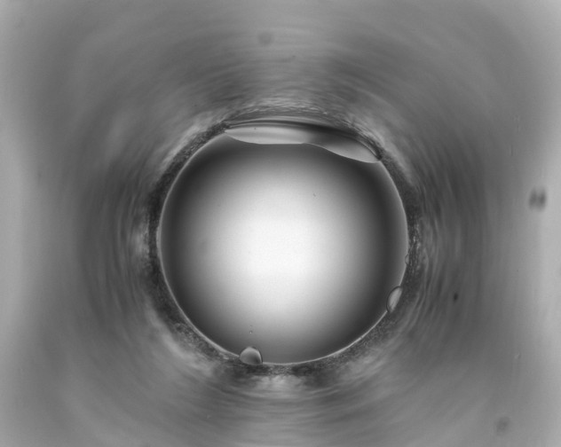 X0000094180212200711021013