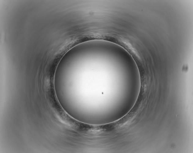X0000094180213200711021013