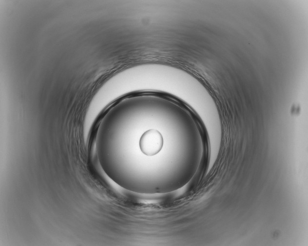 X0000094180215200711021013
