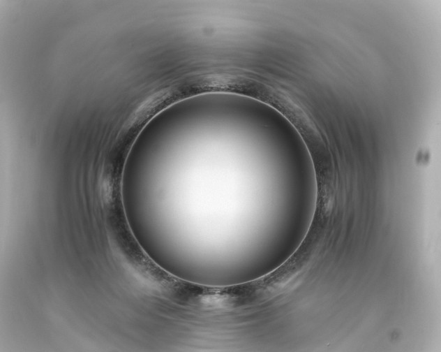 X0000094180216200711021013