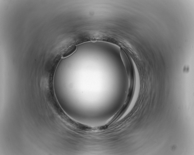 X0000094180217200711021013