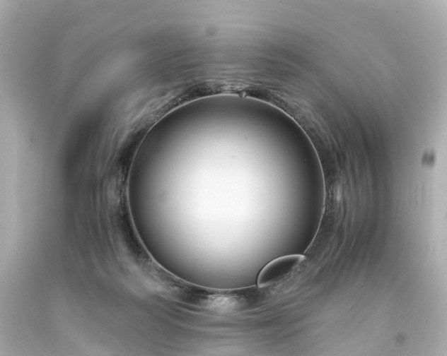X0000094180218200711021013
