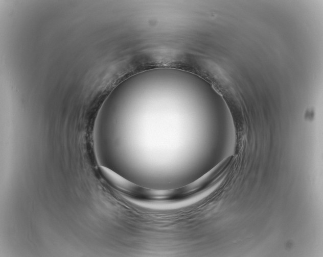 X0000094180221200711021013