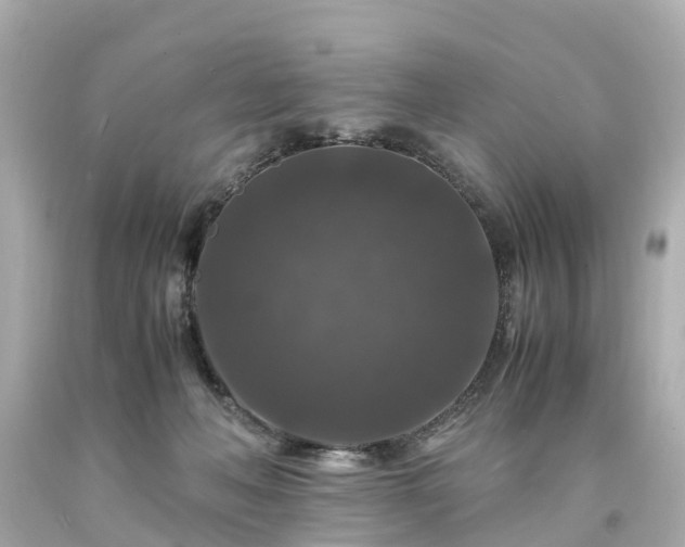 X0000094180222200711021013