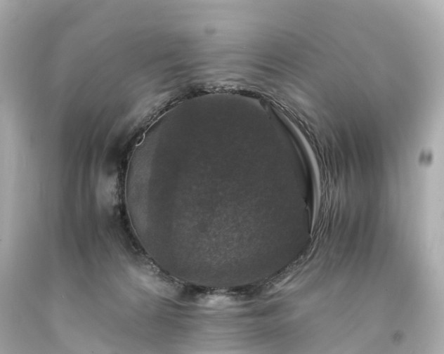 X0000094180224200711021013