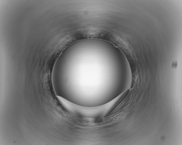 X0000094180225200711021013