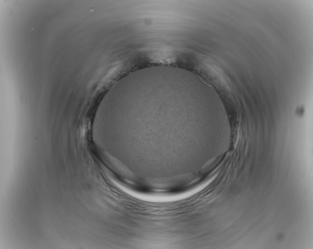 X0000094180229200711021012