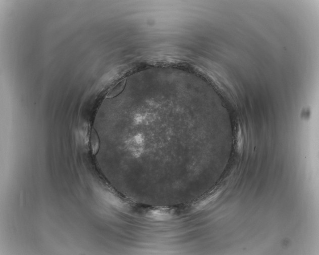 X0000094180232200711021012