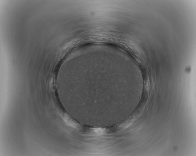 X0000094180233200711021012