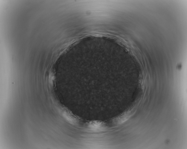 X0000094180235200711021012
