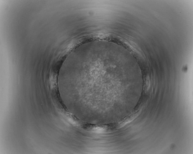 X0000094180236200711021012