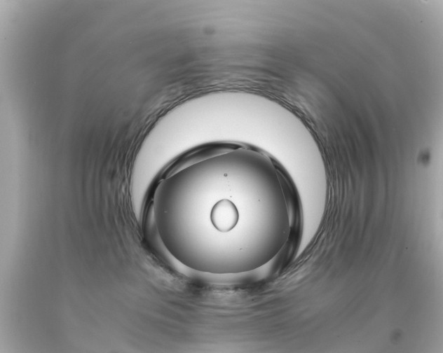 X0000094180237200711021012